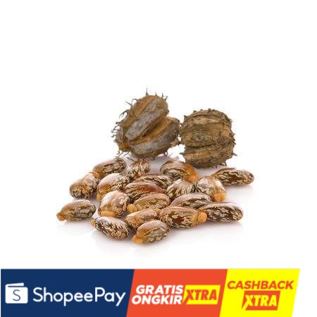 

Castor Oil / Minyak Biji Jarak - Carrier Oil - Cosmetic Grade - 100ml