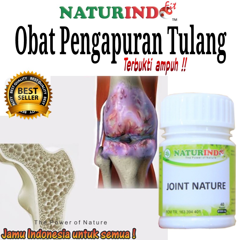 

Obat Pengapuran Tulang Nyeri Sendi Osteoporosis Alami Herbal Ampuh