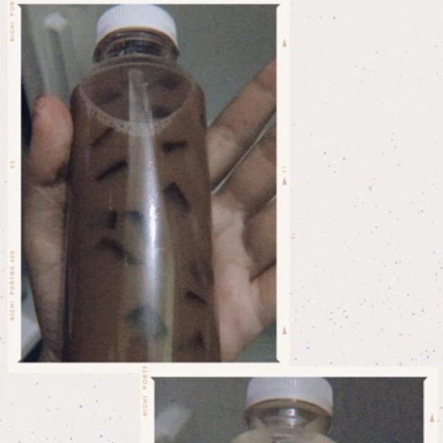 

Makanan dan minuman hitss