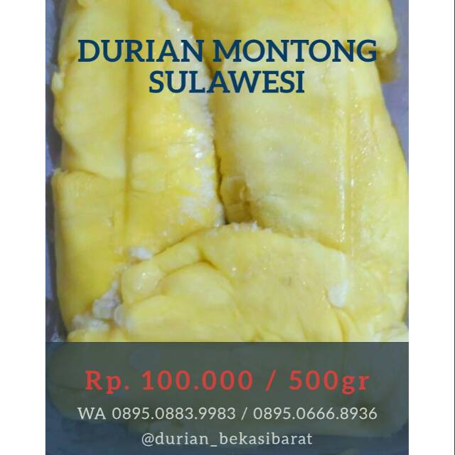 

Durian Montong Sulawesi