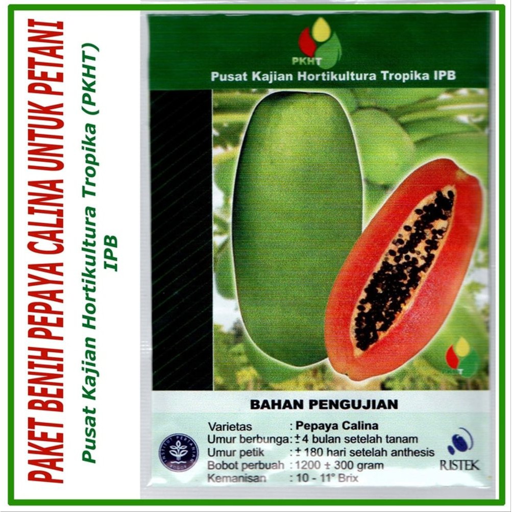 Benih Bibit Tanaman Pepaya Calina California Inovasi PKHT IPB Be