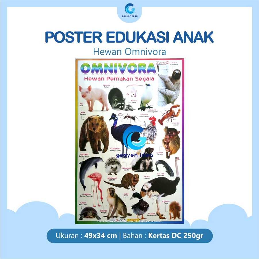 Jual Poster Pendidikan Edukasi Anak Belajar Binatang Omnivora | Shopee ...