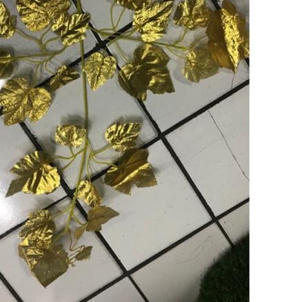 ✤ Daun anggur EMAS / Daun anggur plastik / Daun dekorasi / D-06/ 1 lusin ➤