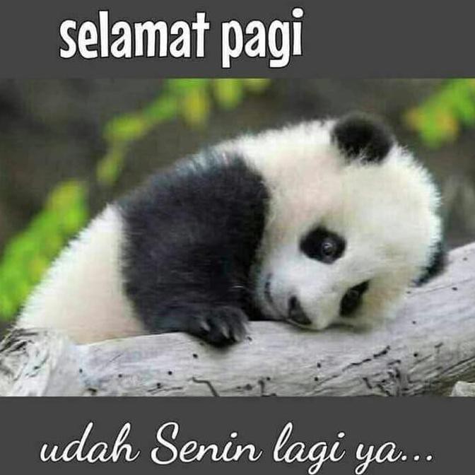

PAKET ATK IDA GULTOM PROMO