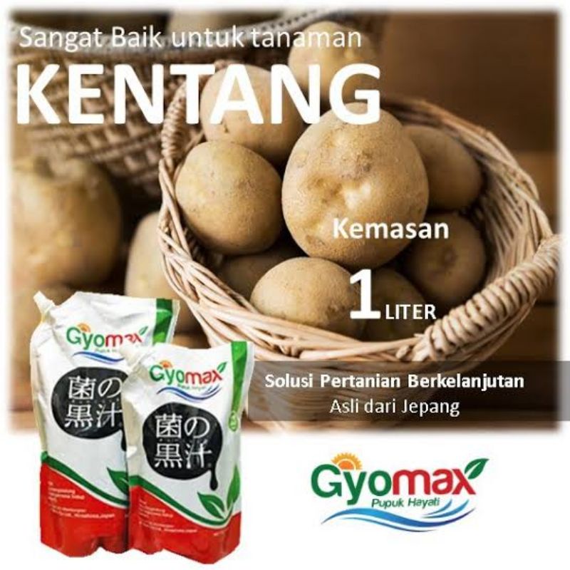 PUPUK KENTANG - GYOMAX - 1 LITER