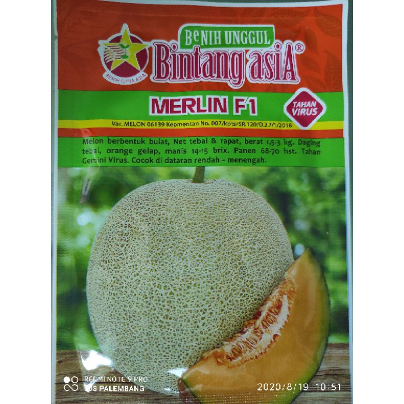 Melon Merlin 20g