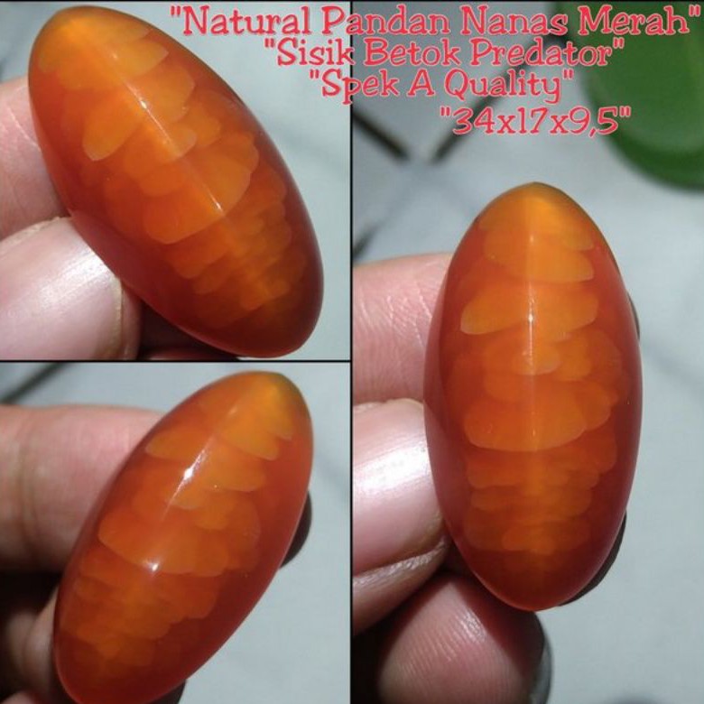 batu pandan nanas merah sisik betok/serat kura super natural