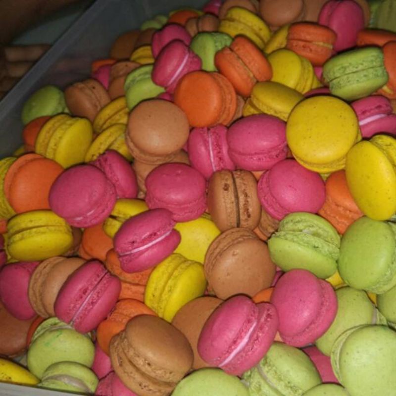 

Ecer 1 pcs Macaron mini