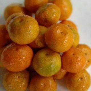 

JᗴlΔs dίkίrίm Jeruk santang madu orangemakazi <<