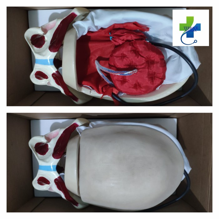 Phantom manikin / Alat peraga / KBI KBE / Kompresi be Manual