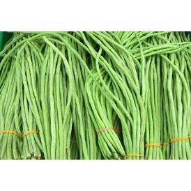 

Kacang Panjang 250gram