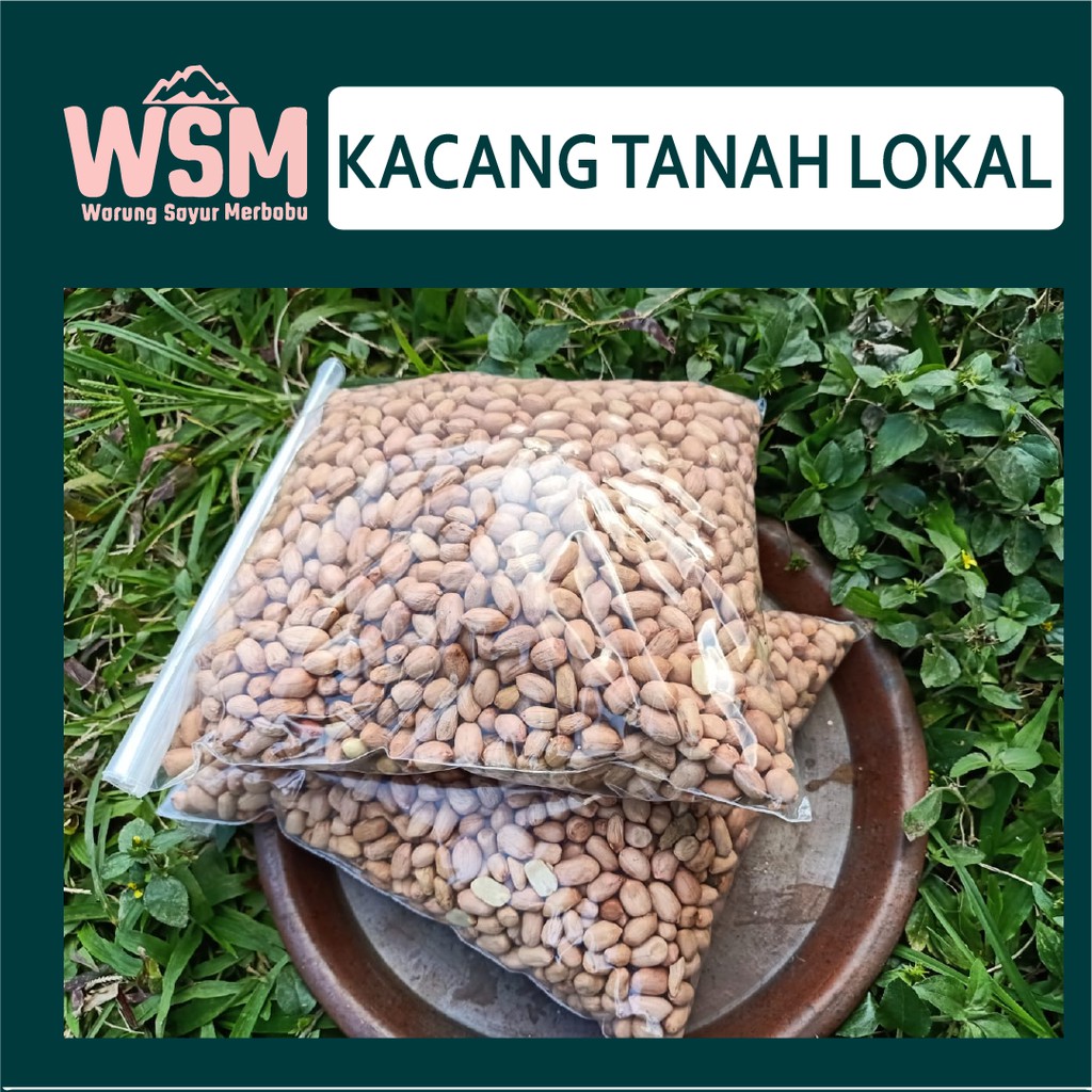 

Kacang Tanah Lokal Berkualitas