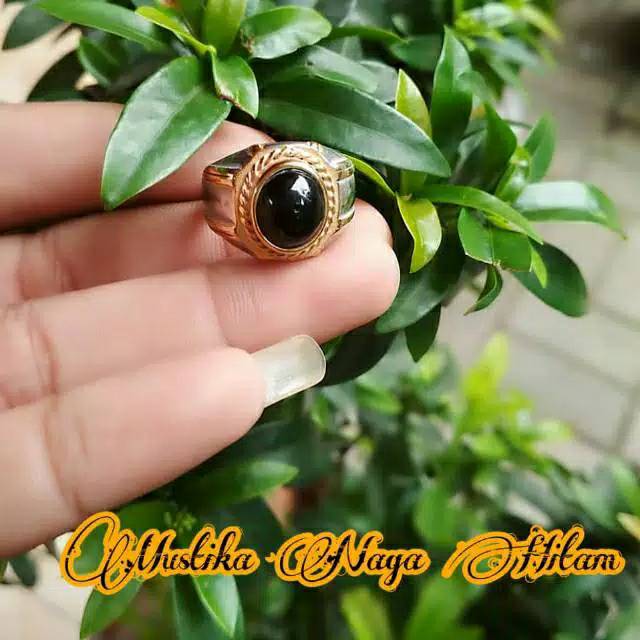 

Mustika Naga hitam