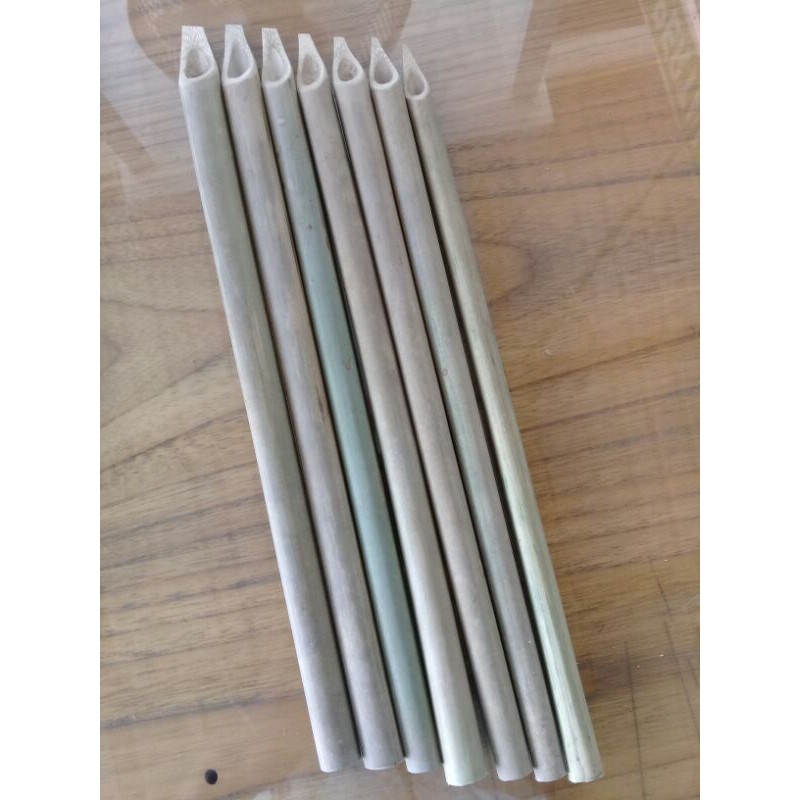 pena bambu / kalam bambu / pena khat /alat tulis kaligrafi ( 25cm )
