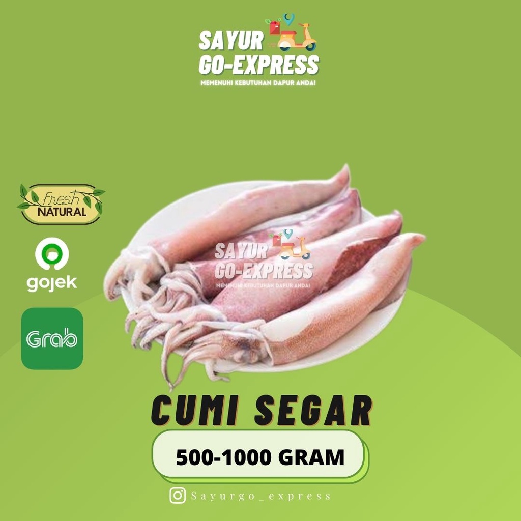 

Cumi Segar 500 - 1000 gram