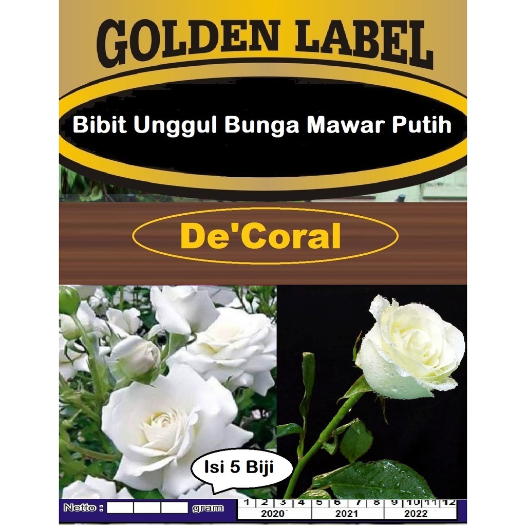 Bibit Unggul Bunga Mawar Putih | Benih Bunga Mawar Putih