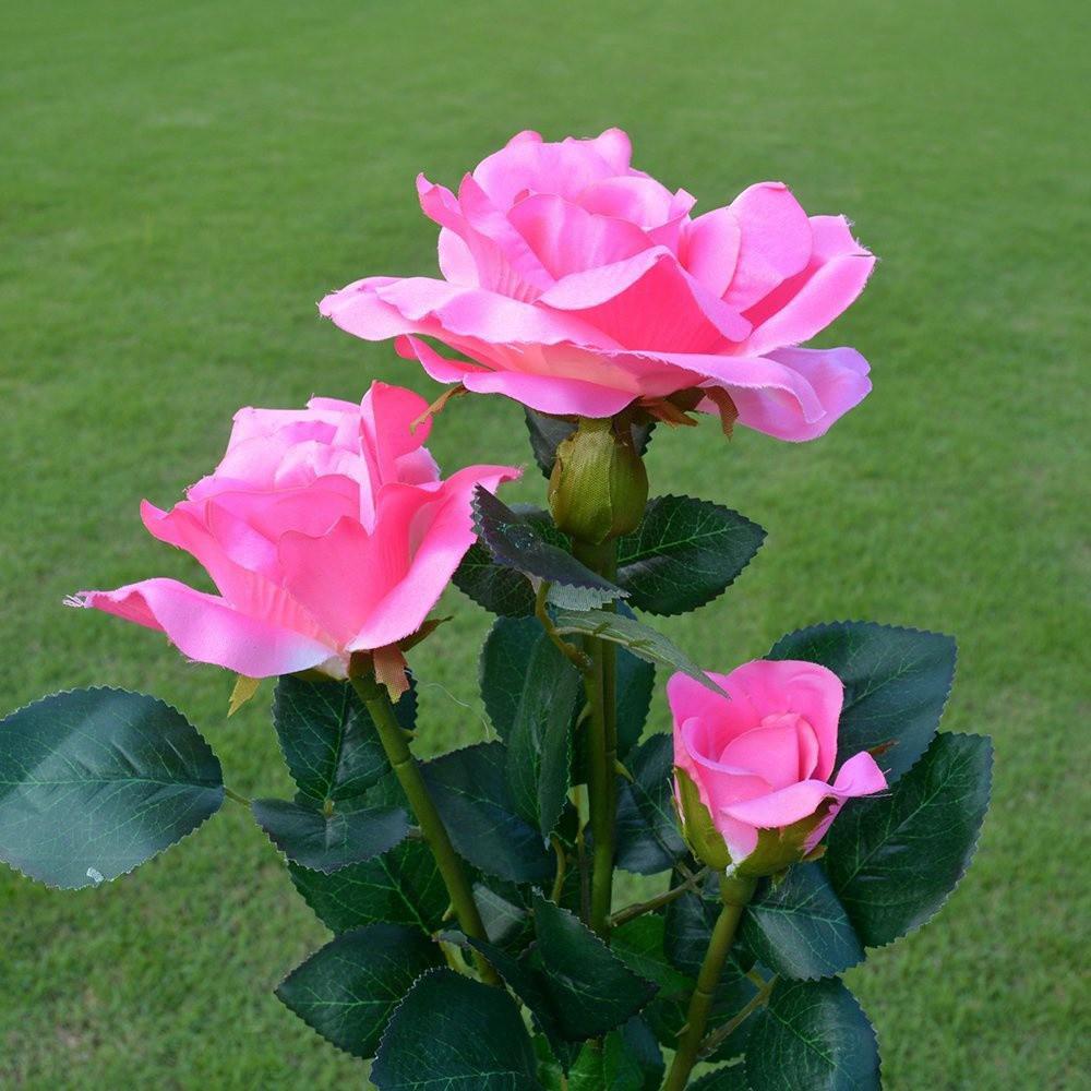 5000 Gambar Bunga Mawar Layu Tumblr Paling Baru Infobaru