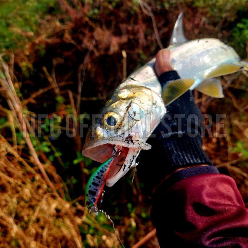 Minnow sinking 5gr/5cm TSURINOYA REPLIKA. Umpan tiruan bentuk ikan. Umpan casting