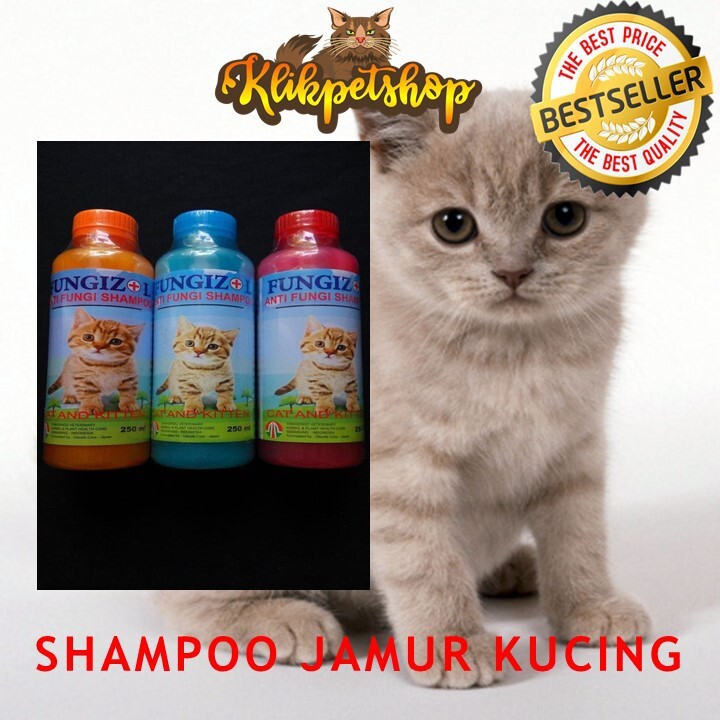 FUNGIZOLE SHAMPOO JAMUR KUCING 125 mL