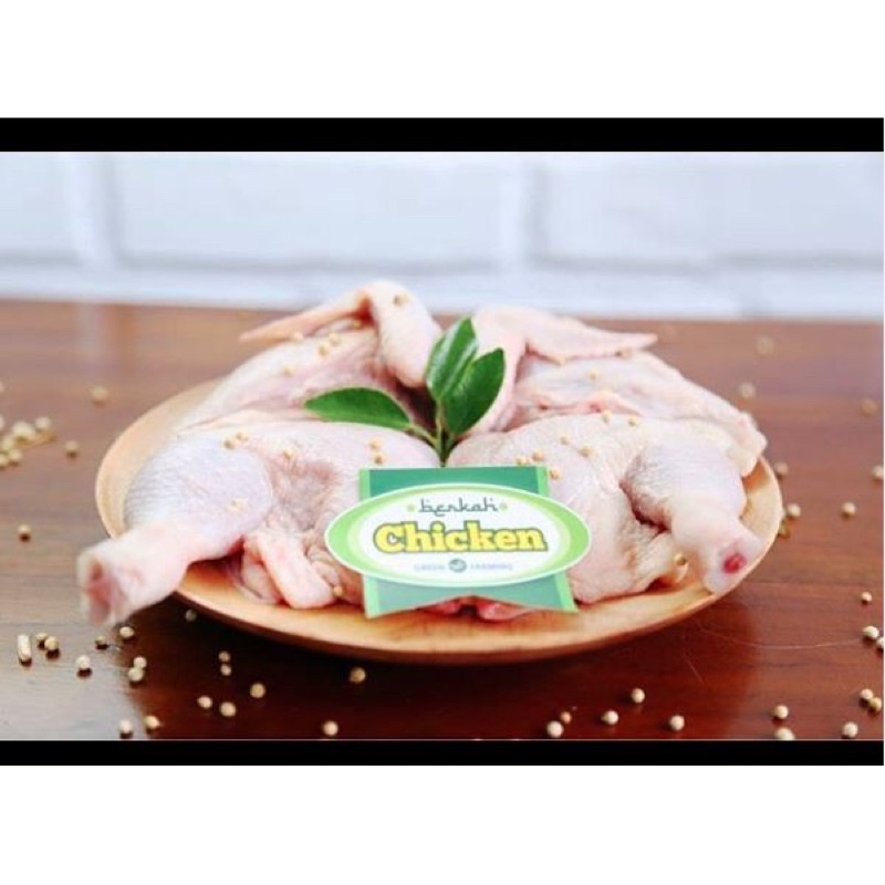 

Ayam Organik Berkah Chicken Rendah Kolesterol Halal Enak Lembut