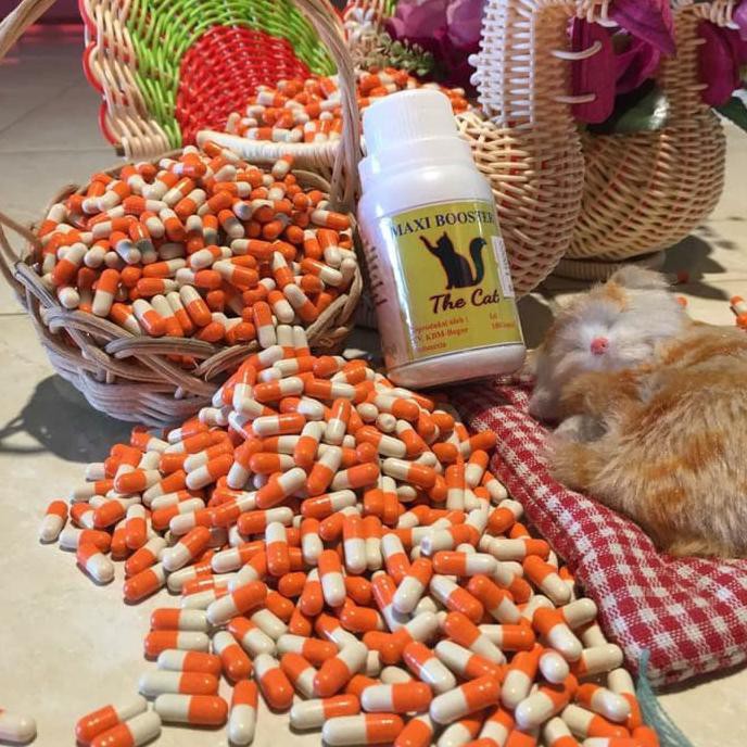 Vitamin Kucing Maxi Booster The Cat eceran perbutir