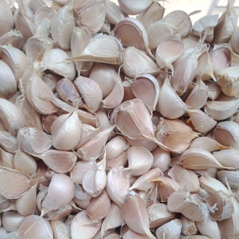 

bawang putih kating bersih berat UK 1 kg