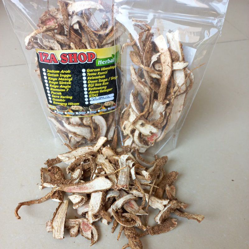 akar ginseng jawa kering