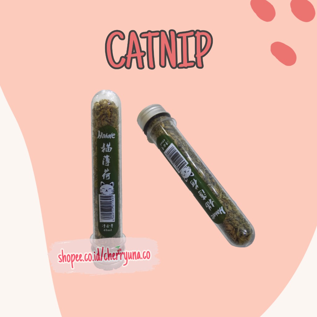 [CATNIP] Organic Natural Premium Catnip Cattle Grass Menthol Flavor Cat Toys