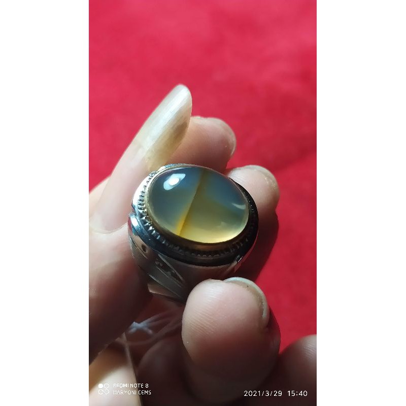 natural tapak jalak garis kuning emas mantap.