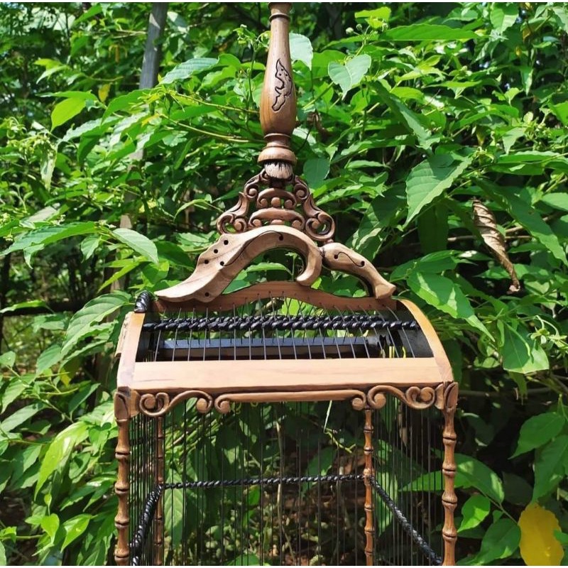 sangkar pleci, sangkar pleci ukir