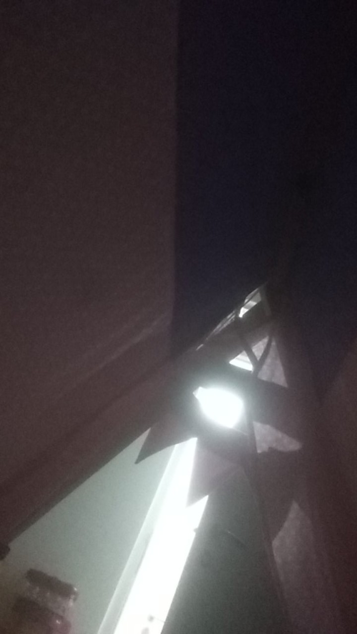 Mika Box Bento 4 Skat - Kotak Makan Tray - Kuning - Isi 50 Pcs