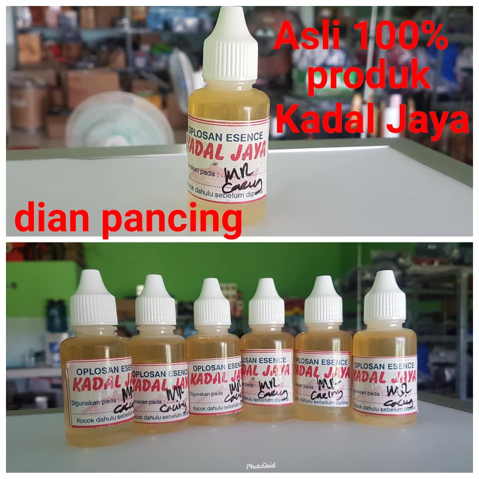 Essen Mikro Cacing Asli Kadal Jaya Isi 30 ml