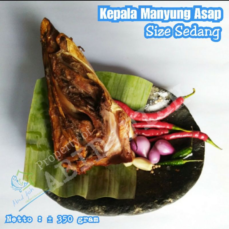 

Kepala Manyung Asap ukuran Sedang