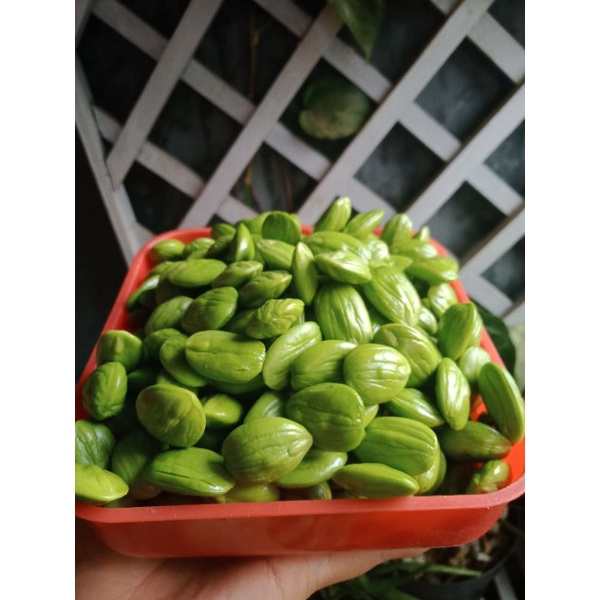 

PETE KUPAS DADAKAN FRESH SEGAR MANIS