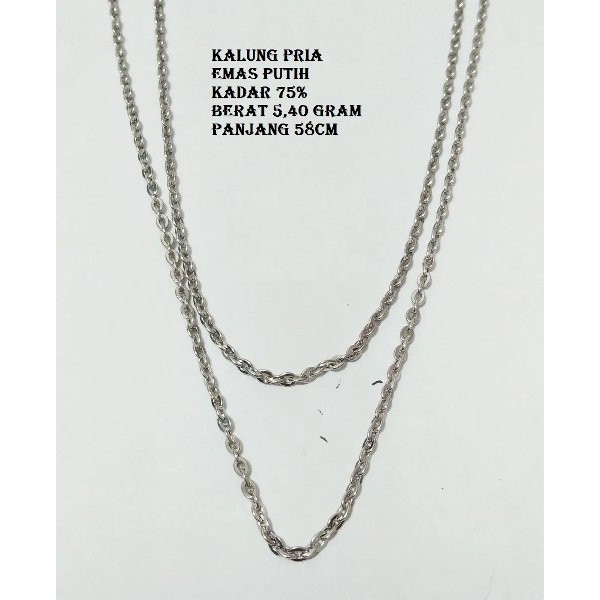 23 Harga  Kalung Emas  Putih  1  Gram  Info Dana Tunai