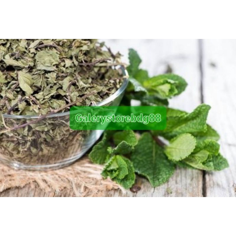 

Daun mint kering teh naon mint asli