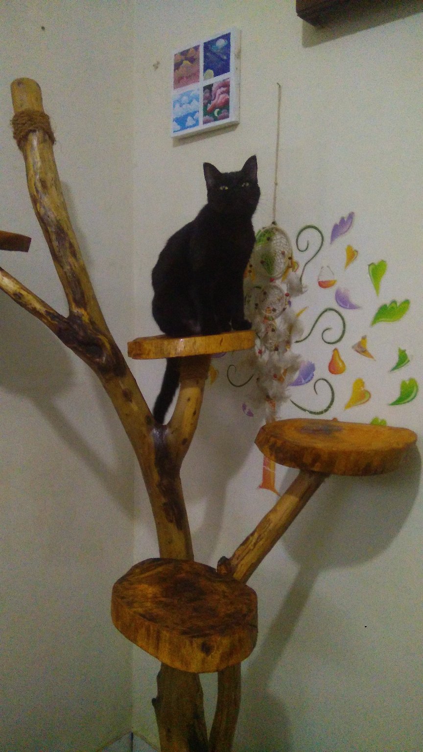 Refill Isi Ulang Kantong Plastik Sampah Popok Diapers Kotoran Hewan Plastik Serbaguna Kecil