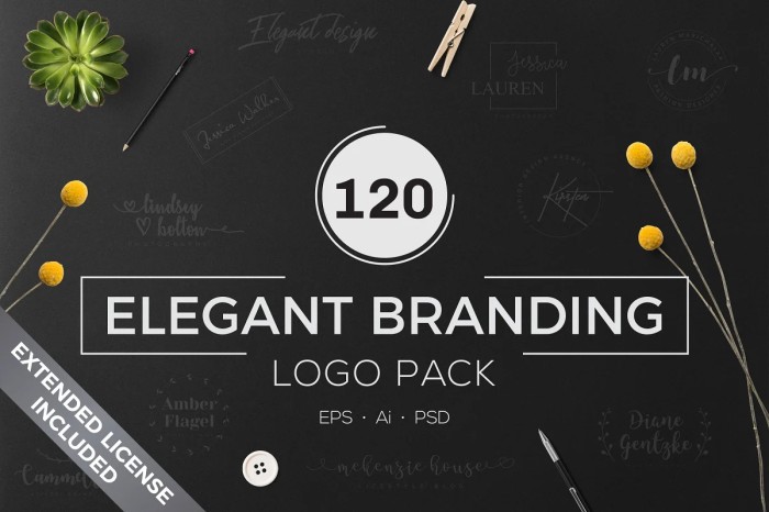 120 Elegant Branding Logo Pack - Photoshop &amp; Illustrator