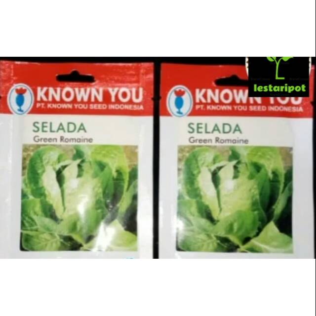 Benih bibit Selada Green Romaine letuce know you seed