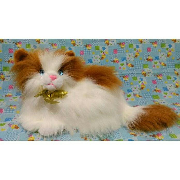 BONEKA KUCING ANGGORA LUCU PUTIH COKLAT BM2191 GT45