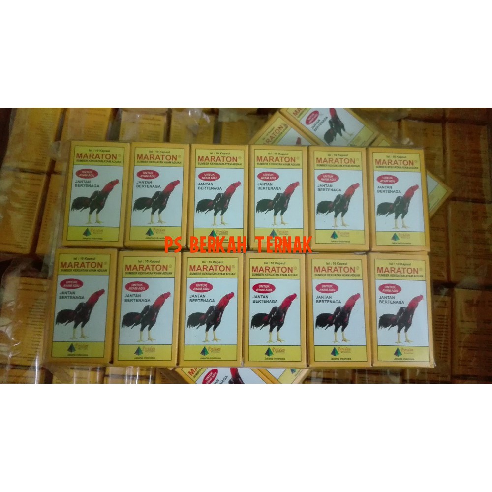 PENAMBAH TENAGA  AYAM ADUAN MARATON 1 BOX ISI 10 KAPSUL,AYAM JANTAN ADUAN LEGENDARIS BERTENAGA SUPER