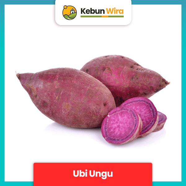 

Ubi Ungu | Pule Sweet Yam