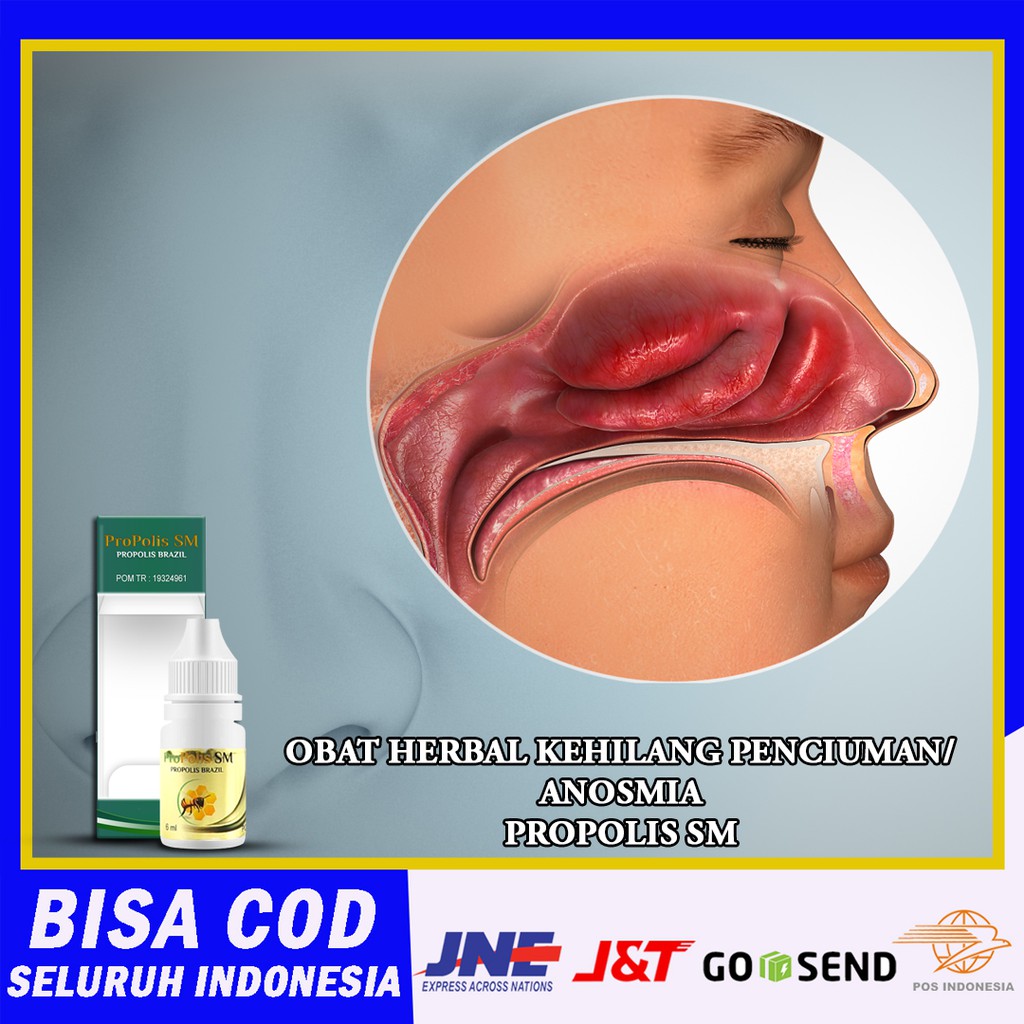 Obat Herbal Kelainan Indra Penciuman/Gangguan Penciuman/Obat Kehilangan Indra Penciuman Anosmia