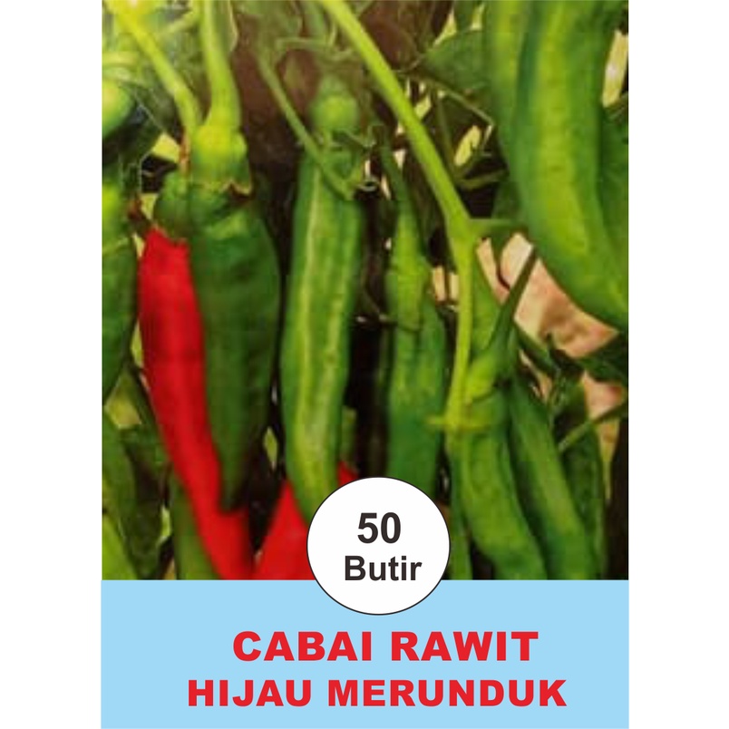 BENIH BIJI BIBIT CABAI/CABE RAWIT HIJAU MERUNDUK
