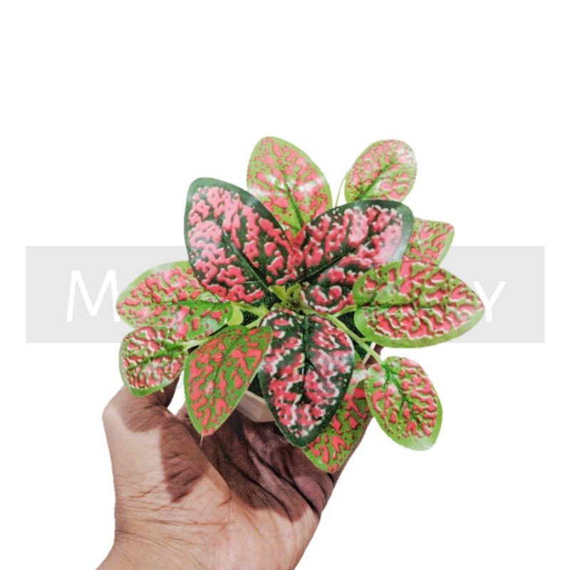 TANAMAN BUNGA ARTIFICIAL BUNGA HIAS DEKORASI HIASAN RUMAH BUNGA PLASTIK MURAH BUNGA AGLONEMA MINI-1