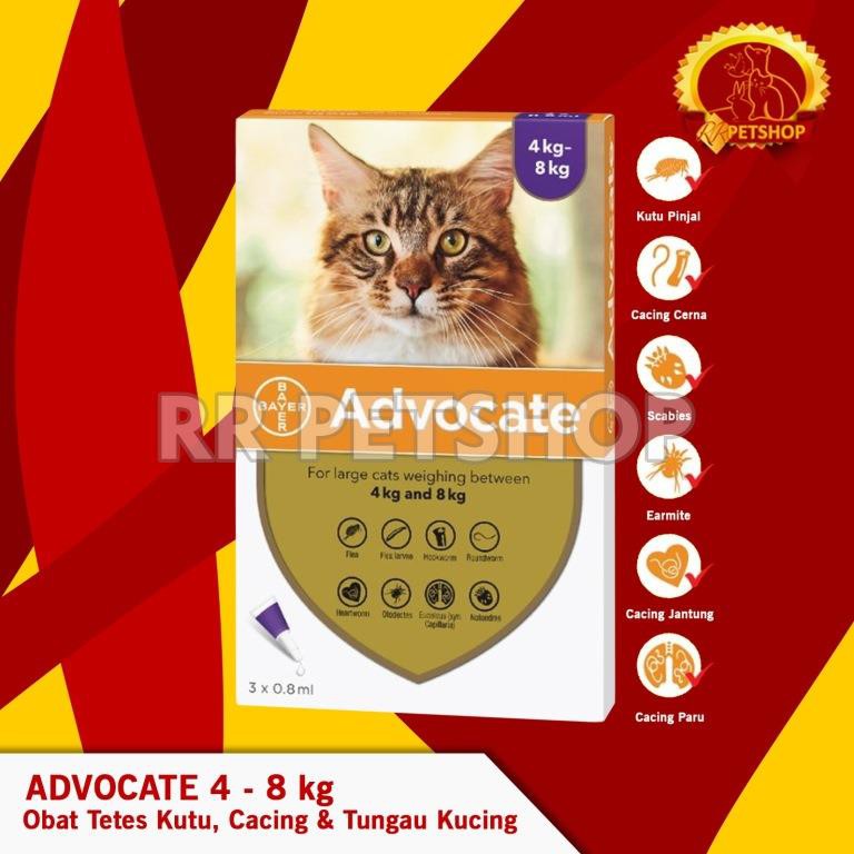 Obat Tetes Kutu Cacing Tungau Flea Scabies Kucing Advocate 4 – 8 KG