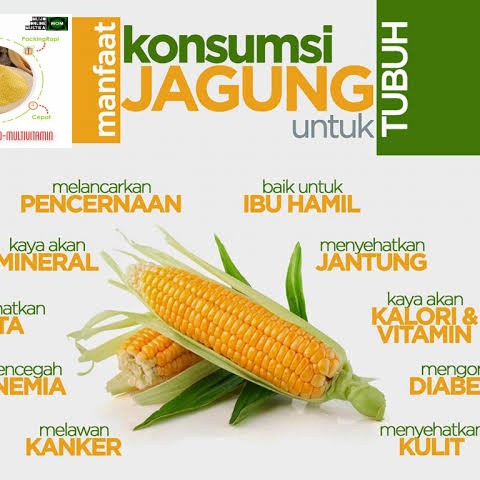 

TEPUNG JAGUNG 1KG MURNI / MAIZENA / ORGANIK PROSES / DIET / SUPERFOOD