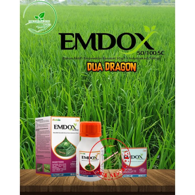 EMDOX 50/100 SC Insektisida racun kontak dan lambung berbentuk pekatan suspensi untuk mengendalikan 