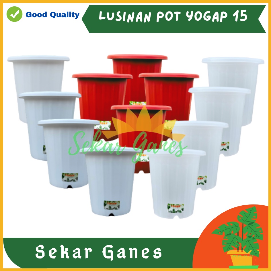 LUSINAN Pot Yogap 15 Murah