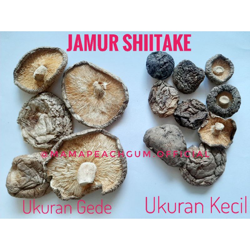 Jamur Shitake / Hioko 50gr wangi dan enak